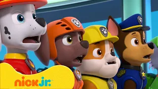 دوريات المخلاب أكثر مغامرات جريئة في برج المراقبة مع تشايس وسكاي Nick Jr Arabia 