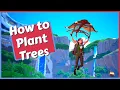 How To Plant Trees in Palia