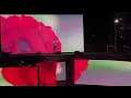 حبيب شنكاوي :وردة إللي نحكي عليها… عشاق الدنيا