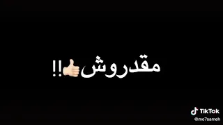 عصام صاصا    دنيا غريبة خلق وحوش    مهرجانات دندنها