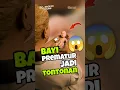 Download Lagu BAYI PREMATUR jadi tontonan di karnaval 😱 #shorts