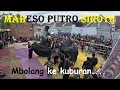Lagu Mberot bareng bantengan Maheso Putro Siroth full kalapan
