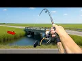 Download Lagu Eating Whatever I Catch.. Roadside Saltwater Fishing (Catch and Cook)