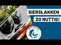 Download Lagu Aquarium slakken