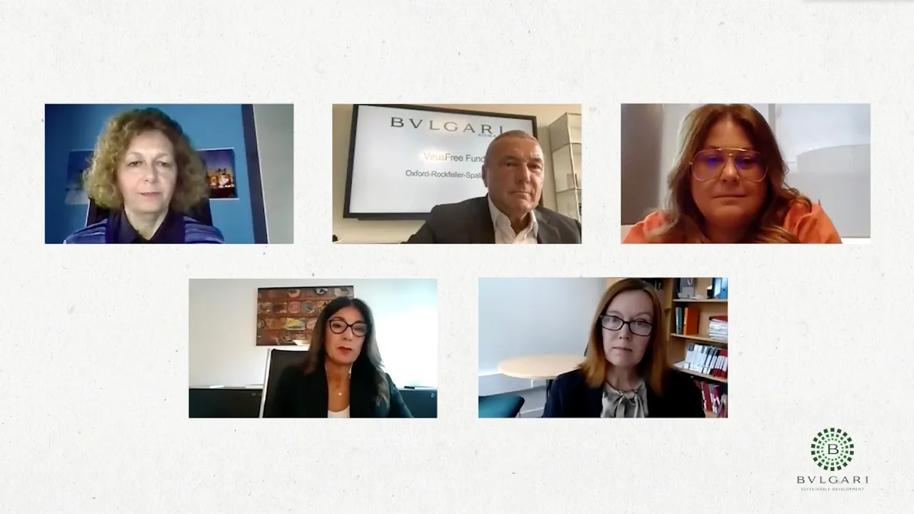 Video Webinar part 1