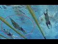 3 Impossible Underwaters by Michael Phelps