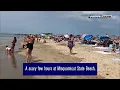 NOW Turns out it wasn t a shark at Misquamicut State Beach
