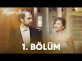 Hayat Sarkisi 1 Bolum
