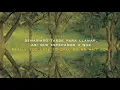 Band of Horses - The Funeral  [LYRIC VIDEO Spanish/English] Subtitulado Español