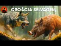 Download Lagu CROÁCIA SELVAGEM | Segredos de Sobrevivência dos Alpes Dináricos | Documentários  animais