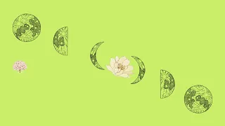 green beauty melody l ov e u0026 u0026 b e a u t y melody for minutes 