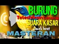 Download Lagu tledekan gunung gacor isian mewah full materi // nonstop satu jam