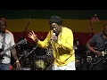 Download Lagu Everton Blender At The Jib Live In Granada