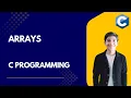 Arrays in C Storing Multiple Values