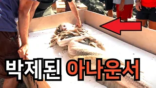 '인체의 신비' 전시장에 박제된 임신한 '아나운서'