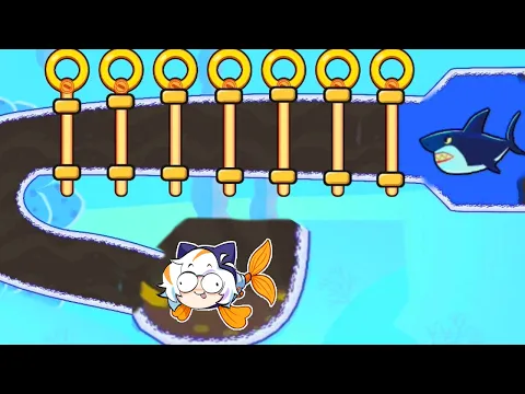 Video Thumbnail: SALVA AL PEZ PARA GANAR 🐠😮