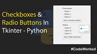 Checkboxes And Radios in Tkinter - Python Step-By-Step Guide