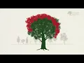Pruning to reduce density