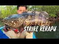 Download Lagu Battle Fishing Predator Muara Kepulauan Mentawai | MANCING MANIA STRIKE BACK (27/07/24) Part 1