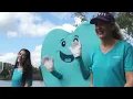 Truis x GIVIT Case Study - Giving Back the collaboration