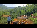 Download Lagu 12 year old son helps mother raise chickens and pigs and enjoys delicious boiled chicken