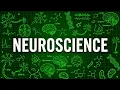 Explaining Neuroscience Like You re 5 Years Old