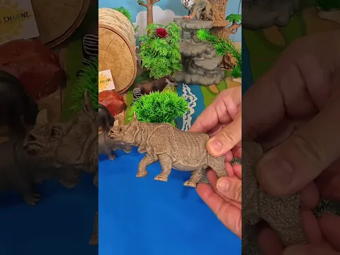 Rhino Toy Time! Grass Eaters, Bush Munchers & Muddy Water Drinkers 🦏