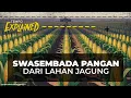 Download Lagu Dorong Ketahanan Pangan Indonesia Lewat Tanam Jagung⁠ | Explained