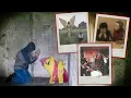 Disturbing Pinterest Anomalies