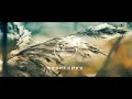 少女的祈祷 - 杨千嬅【橙子音乐】沿途与他车厢中私奔般恋爱再挤逼都不放开【高清无损音质】
