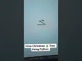 Draw a Christmas Tree with Python