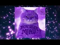 Lagu MONTAGEM MIAU (Slowed)