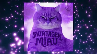 montagem miau slowed 