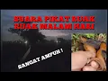 Download Lagu Suara Pikat Ruak Ruak Paling Ampuh-Khusus Malam Hari #ruakruak#pikatruakruak#berbururuakruak