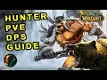 Classic WoW Hunter PvE DPS Guide - Talents Pre-Raid Bis Rotation
