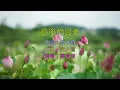 姜育恆 - 最後的溫柔 KTV
