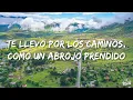 Milo J, Soledad - Lucia (Letra/Lyrics)