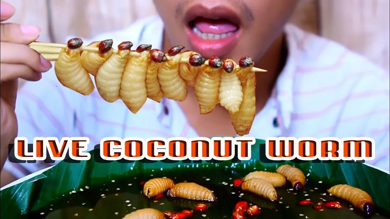 ASMR eating ALIVE COCONUT WORM CHALLENGE Eating sound| BINH ASMR