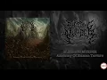 Download Lagu BLEEDING MURDER - Anatomy of Human Torture (FULL)