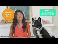 Tractor Supply and the AKC Present Tips for Puppy Proofing Your Home