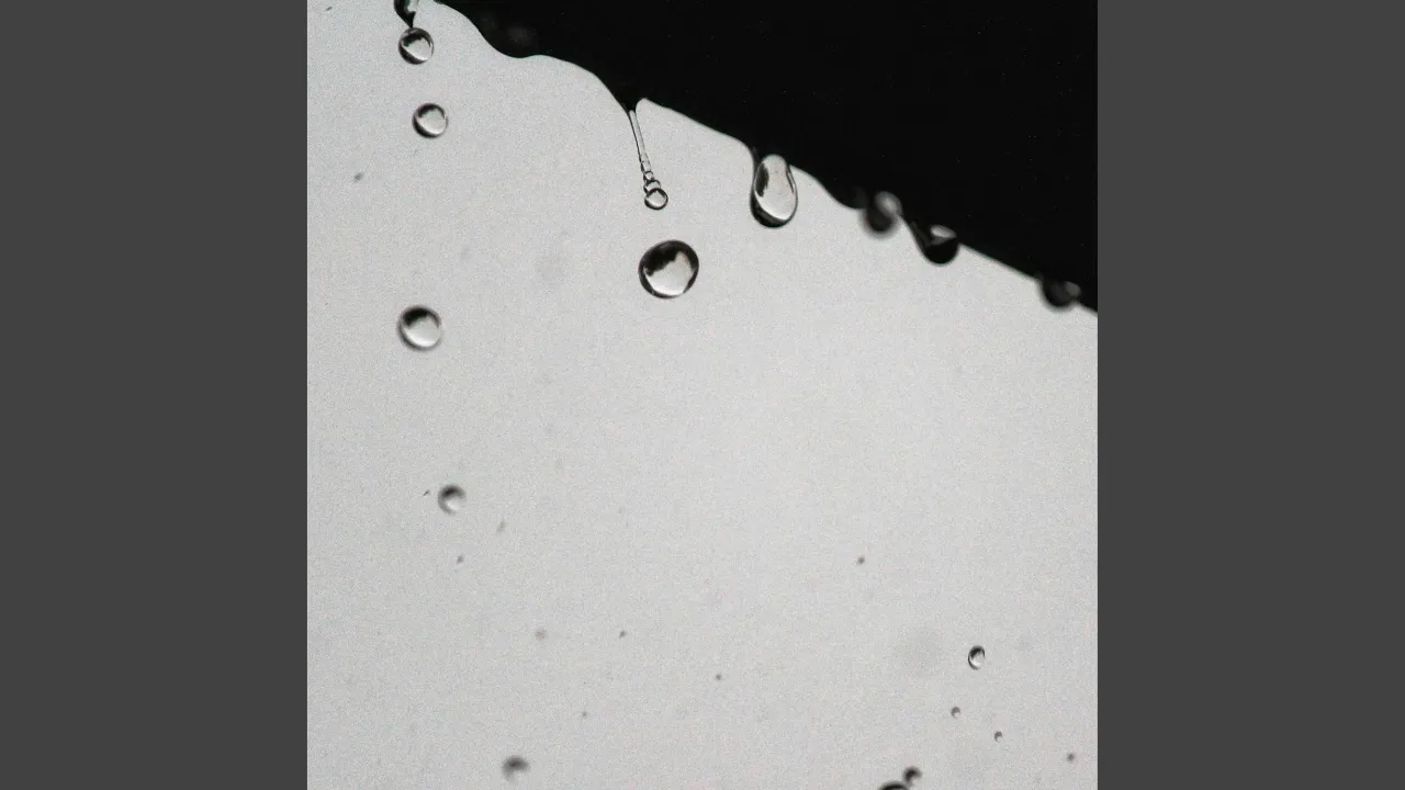 The Shape of Rain The Shape of Rain