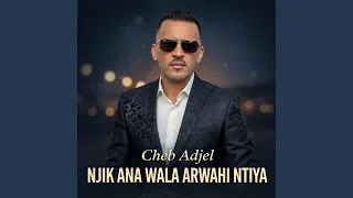                            دندنها