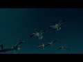 Ali Haydar Timisi - İstanbul ( Enstrumantal Şarkı ) [© 2020 Soundhorus]