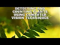 Detecting and Counting Plants Using Computer Vision Techniques
