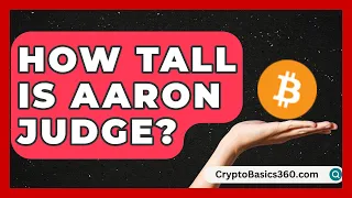 How Tall Is Aaron Judge Baseball Statistics Vault News
