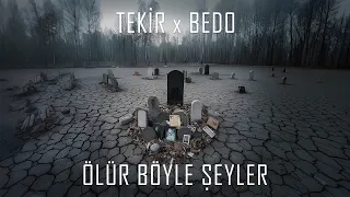 Tekir Bedo Ölür Böyle Şeyler  Tekir Bedo Ölür Böyle Şeyler