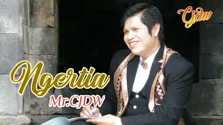 Download Mr.CJDW - Ngertia [OFFICIAL[ MP3