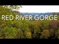 7 Things To Experience In the Red River Gorge