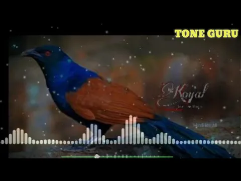 Download MP3 💟Best Old hindi Instrumental ringtone 💓|  Bollywood 90s Ringtone| Bole jo koyal song|  download