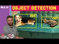 ml5 js Object Detection with COCO-SSD